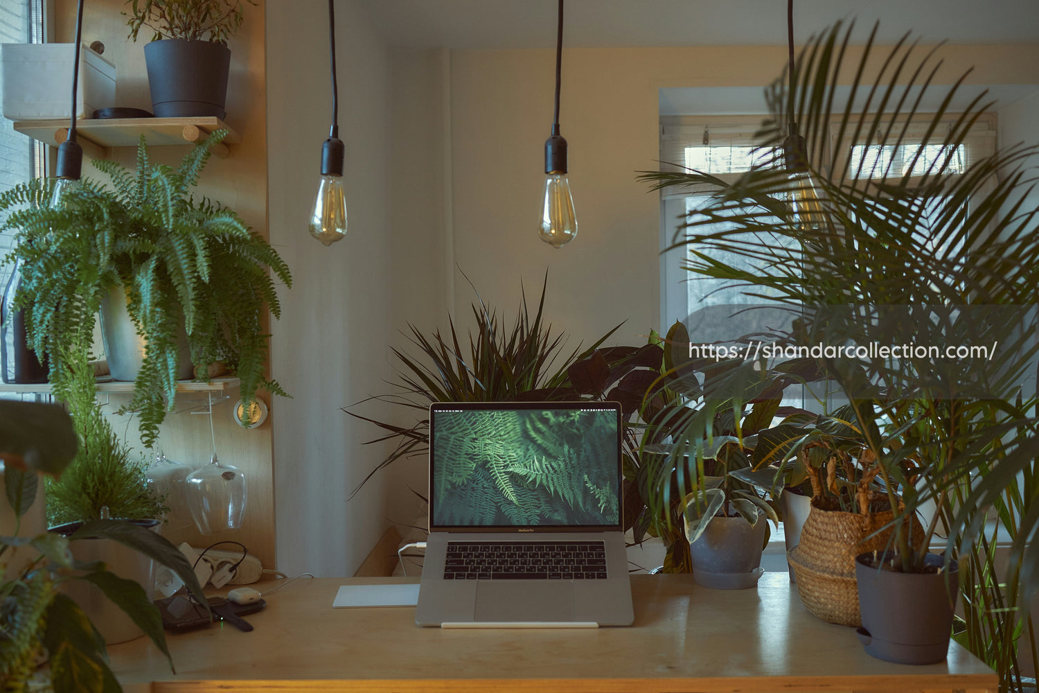 Electronic home decor collection featuring smart lighting, Bluetooth speakers, wireless chargers and modern tech accessories