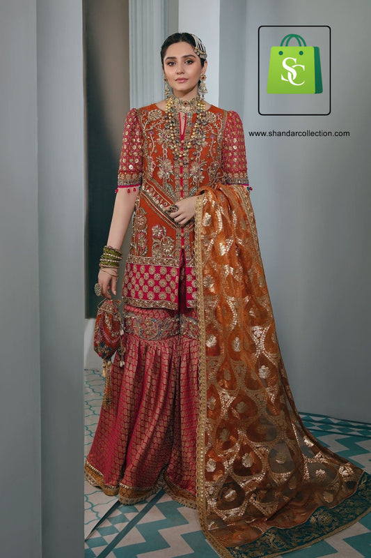 Elegant Pakistani Gown for Women – Party & Wedding Wear
