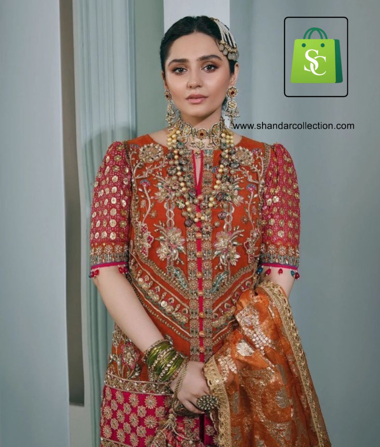 Elegant Pakistani Gown for Women – Party & Wedding Wear